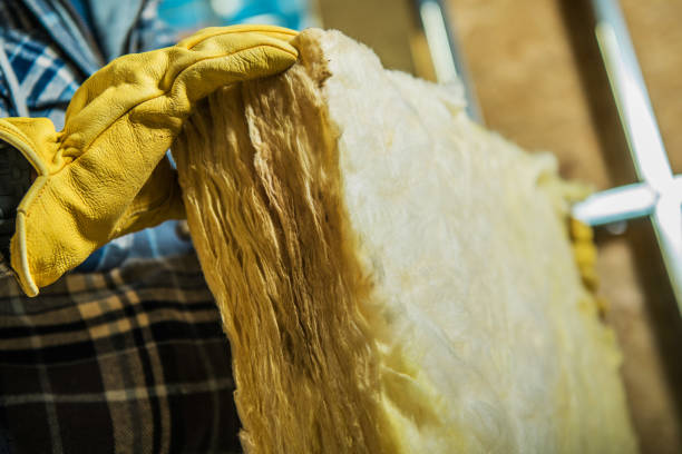 Best Spray Foam Insulation in Mount Zion, GA
