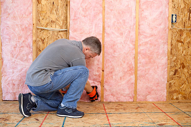Best DIY Insulation Kits and Guidance in Mount Zion, GA