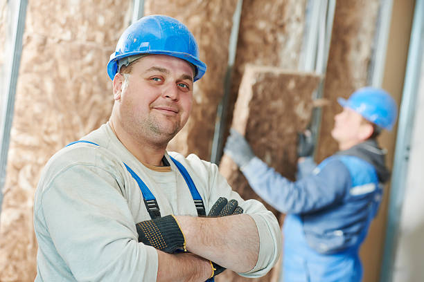 Best Cellulose Insulation in Mount Zion, GA