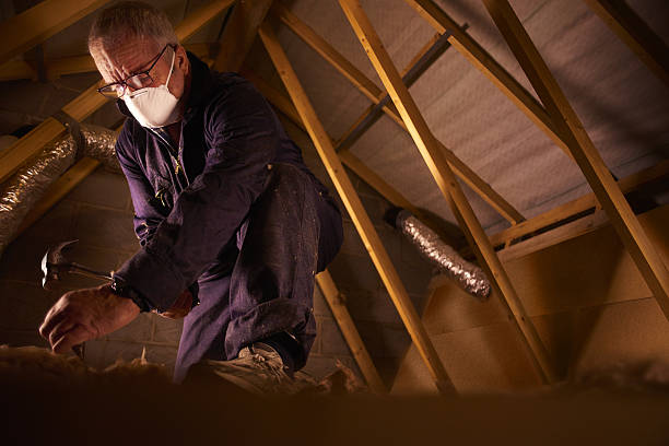 Best Spray Foam Insulation in Mount Zion, GA